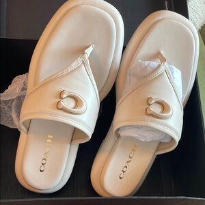 Coach slides
